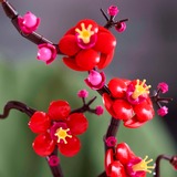 LEGO 10369 Botanicals Pflaumenblüte, Konstruktionsspielzeug 