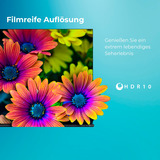 Toshiba 32LV3F63DAZ, LED-Fernseher 80 cm (32 Zoll), schwarz, FullHD, VIDAA-Betriebssytem