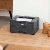 Brother HL-L2400DW, Laserdrucker dunkelgrau, USB, WLAN, Duplex (Druck)