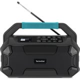 TechniSat VIOLA 231 OD, Radio schwarz, Retail