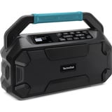 TechniSat VIOLA 231 OD, Radio schwarz, Retail