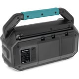 TechniSat VIOLA 231 OD, Radio schwarz, Retail