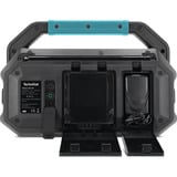 TechniSat VIOLA 231 OD, Radio schwarz, Retail