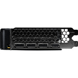 Palit GeForce RTX 5050 Dual OC 8GB, Grafikkarte DLSS 5, 3x DisplayPort, 1x HDMI 2.1