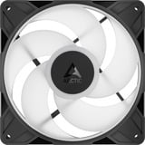 ARCTIC P14 Pro Reverse A-RGB, Gehäuselüfter schwarz, 3er Pack, 140 mm