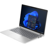 HP ProBook 4 G1i (AD2N5ET), Notebook silber, Intel® Core™ Ultra 7 255U, AMD Radeon 780M, 24 GB DDR5, 512 GB (512 GB SSD), Windows 11 Pro