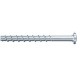 fischer Betonschraube FBS 4x30 /1 Panhead TX 200 Stück, verzinkt
