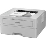 Brother HL-L2865DW, Laserdrucker grau, USB, LAN, WLAN, Duplex (Druck)