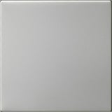 Gira Wippe einfach unbedruckt System 55 Bedienwippe Ersatz edelstahl, Retail