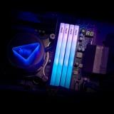 ADATA DIMM 16 GB DDR5-6000, Arbeitsspeicher schwarz, AX5U6000C3616G-SLABRBK, XPG Lancer Blade RGB, INTEL XMP, AMD EXPO