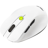 ASUS MD105, Maus weiß/grün