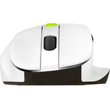 ASUS MD105, Maus weiß/grün