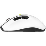 ASUS MD105, Maus weiß/grün