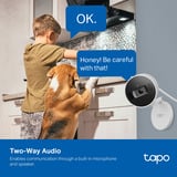 TP-Link Tapo C125, Überwachungskamera weiß/schwarz, WLAN