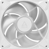 ARCTIC BioniX P14 A-RGB, Gehäuselüfter weiß/weiß, 140 mm