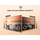 TCL 43SF560, QLED-Fernseher 109 cm (43 Zoll), schwarz, FullHD, Triple Tuner, Fire TV