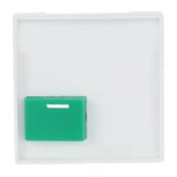Busch-Jaeger Zentralscheibe studiotafel 2548-642 C-84, Abdeckung weiß, Retail