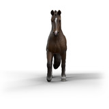 Schleich Horse Club KWPN Wallach, Spielfigur 