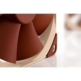 Noctua NF-F12 PWM, Gehäuselüfter hellbraun, 120 mm