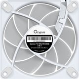 Ocypus Gamma F12 Elite ARGB, Gehäuselüfter weiß, 3er Pack, 120 mm