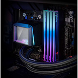 ADATA DIMM 16 GB DDR5-6000, Arbeitsspeicher schwarz, AX5U6000C4816G-CNKRBK, XPG NOVAKEY RGB Black, INTEL XMP, AMD EXPO
