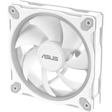ASUS Prime MR120 ARGB Fan, Gehäuselüfter weiß, 3er Pack, 120 mm