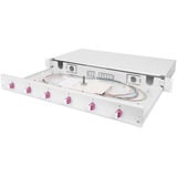 Digitus LWL Spleißbox, 1HE, bestückt, LC, OM4 grau