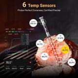 Typhur Sync Gold Lite, Thermometer schwarz, inkl. 1 Sonde