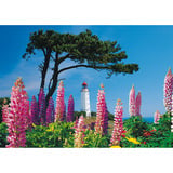 Schmidt Spiele Leuchtturm Dornbusch, Hiddensee, Puzzle 1000 Teile