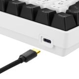 Sharkoon SKILLER SGK50 S3, Gaming-Tastatur weiß, RU-Layout, Gateron Yellow