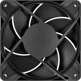 ARCTIC P12 Pro LN, Gehäuselüfter schwarz, 5er Pack, 120 mm