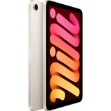 Apple iPad mini 256GB DEP, Tablet-PC champagner, Polarstern / Gen 7 / 2024