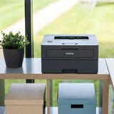 Brother HL-L2445DW, Laserdrucker dunkelgrau, USB, LAN, WLAN, Duplex (Druck)