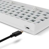 Sharkoon SKILLER SGK50 S2 Barebone, Gaming-Tastatur weiß