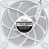 Ocypus Gamma F12 Elite ARGB, Gehäuselüfter weiß, Reverse, 3er Pack, 120 mm