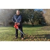 EINHELL Laubsauger/Laubbläser GC-EL 3000 E rot/schwarz, 3.000 Watt