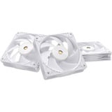 ASUS ProArt PF120, Gehäuselüfter weiß, 3er Pack, 120 mm