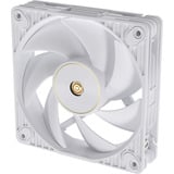 ASUS ProArt PF120, Gehäuselüfter weiß, 3er Pack, 120 mm