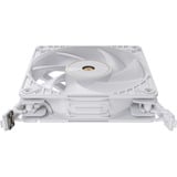 ASUS ProArt PF120, Gehäuselüfter weiß, 3er Pack, 120 mm