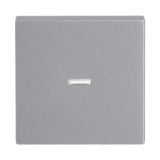 Busch-Jaeger Wippe 1789 Nummer 83 aluminium, Retail