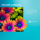 Toshiba 43UV2363DA, LED-Fernseher 108 cm (43 Zoll), schwarz, UltraHD/4K, Triple Tuner, SmartTV, VIDAA