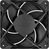 ARCTIC P12 Pro PST LN, Gehäuselüfter schwarz, 5er Pack, 120 mm