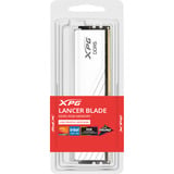 ADATA DIMM 16 GB DDR5-6000, Arbeitsspeicher weiß, AX5U6000C3616G-SLABRWH, XPG Lancer Blade RGB, INTEL XMP, AMD EXPO
