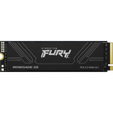 Kingston Renegade G5 2 TB, SSD schwarz, PCIe 5.0 x4, NVMe, M.2 2280