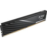 ADATA DIMM 24 GB DDR5-6000, Arbeitsspeicher schwarz, AX5U6000C3624G-SLABBK, XPG Lancer Blade, INTEL XMP, AMD EXPO