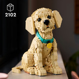 LEGO 11384 Icons Golden Retriever Welpe, Konstruktionsspielzeug 