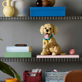 LEGO 11384 Icons Golden Retriever Welpe, Konstruktionsspielzeug 