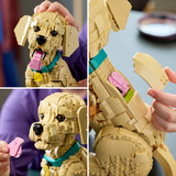 LEGO 11384 Icons Golden Retriever Welpe, Konstruktionsspielzeug 