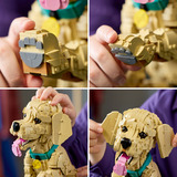 LEGO 11384 Icons Golden Retriever Welpe, Konstruktionsspielzeug 