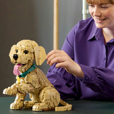 LEGO 11384 Icons Golden Retriever Welpe, Konstruktionsspielzeug 